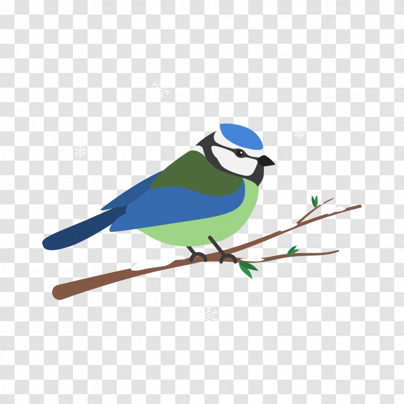 Bird Blue Jay Parrot Image - Migration Transparent PNG