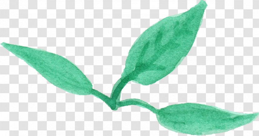 Leaf Plant Stem Iriartea - Com - Leaves Watercolor Transparent PNG