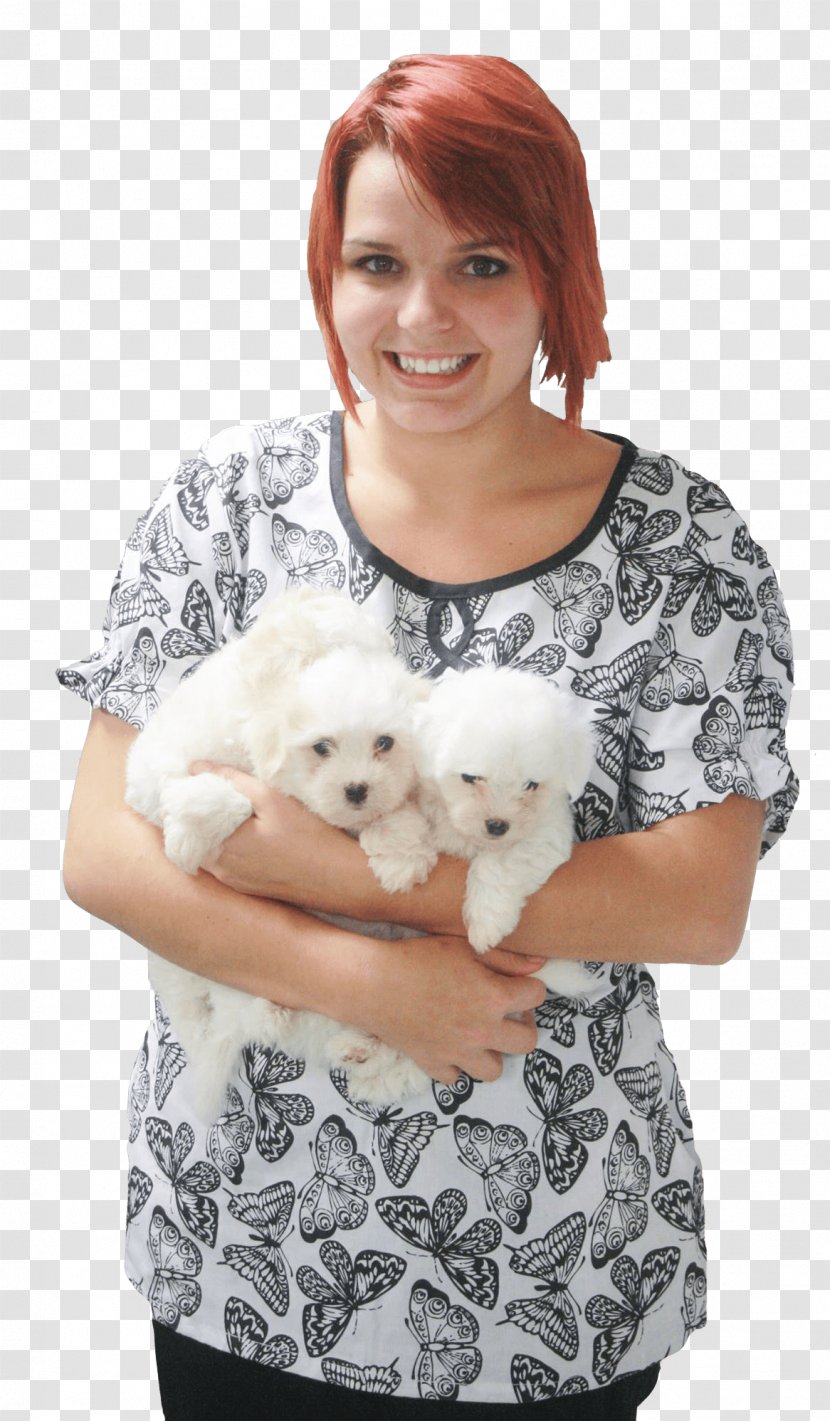 Puppy T-shirt Dog Breed Companion - Tshirt Transparent PNG