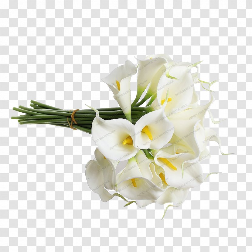 Flower Bouquet White Wedding Bride Artificial - Plant Transparent PNG