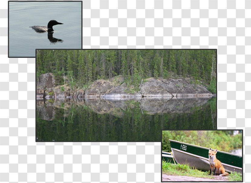 Jan Lake, Saskatchewan Three Lakes Camp Lake Diefenbaker Pond - Landscape - Northern Pike Transparent PNG