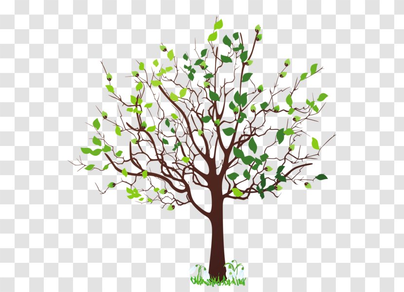 Tree Clip Art - Plant - Money Transparent PNG