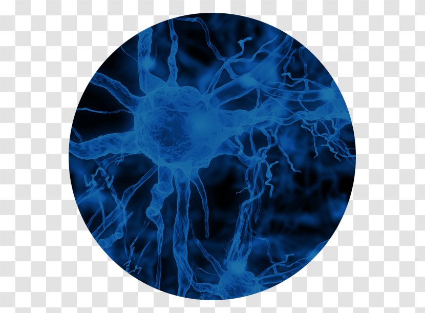 Peripheral Neuropathy Brain Neuropathic Pain Medicine Nerve - Blue Transparent PNG