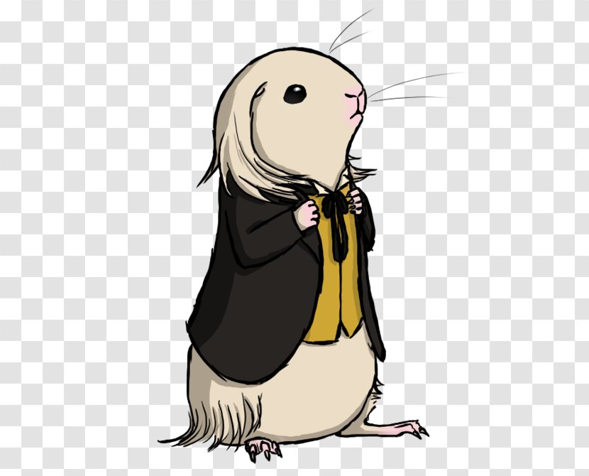 Hamster Background - Tail Transparent PNG