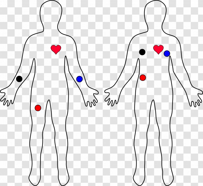 Electrocardiography EKG-Monitoring Heart Rate Monitor SparkFun Electronics - Frame Transparent PNG