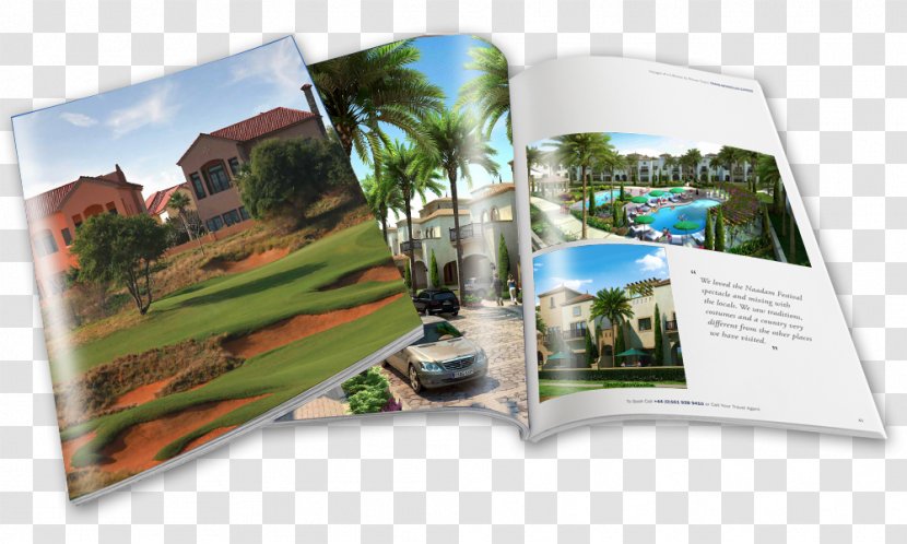 Jumeirah Golf Estates Photographic Paper Redwood National And State Parks Brochure - Park Estate Transparent PNG