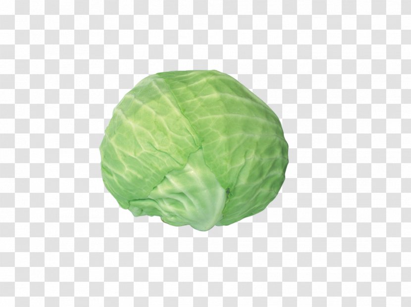 Red Cabbage Vegetable - Brassica Oleracea - A Transparent PNG