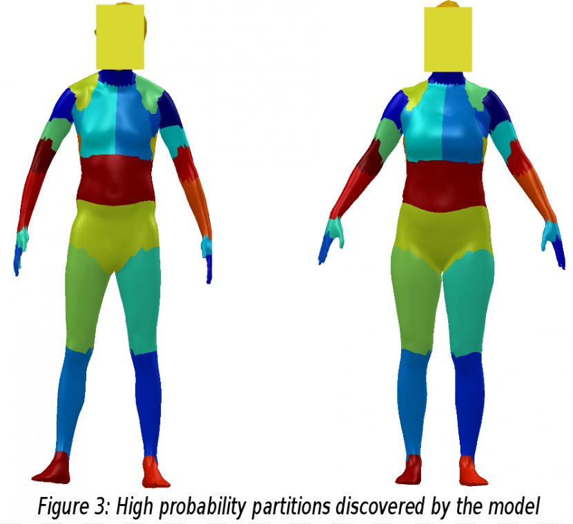 Human Body Skeleton Homo Sapiens Clip Art - Parts Pictures Transparent PNG