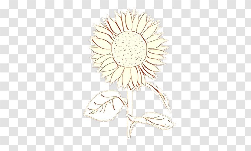 Sunflower - Flower - Daisy Cut Flowers Transparent PNG