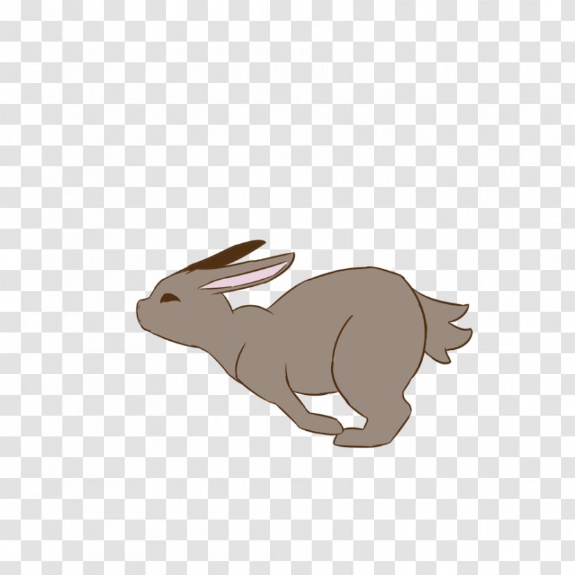 Domestic Rabbit Hare Walk Cycle Easter Bunny Transparent PNG
