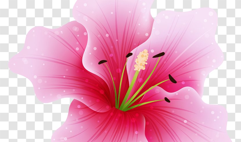 Pink Flowers Clip Art - Hibiscus - Flower Transparent PNG