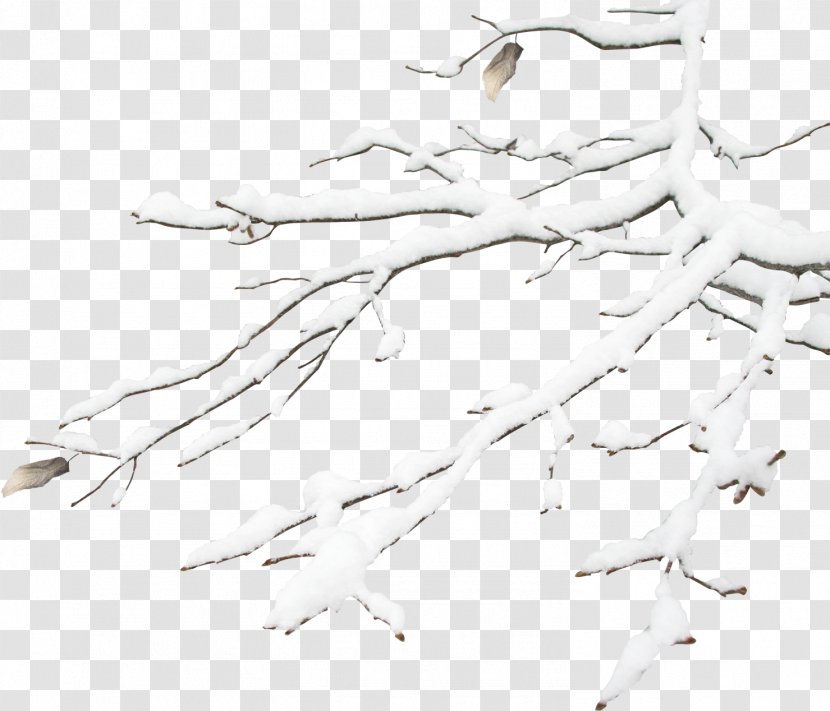 Winter Snowflake Gratis - Bird - The Branches Transparent PNG