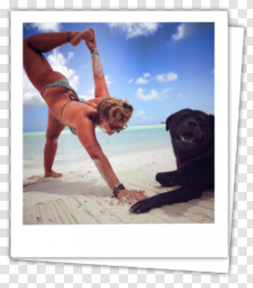 Yoga & Pilates Mats Physical Fitness Vacation - Mat Transparent PNG