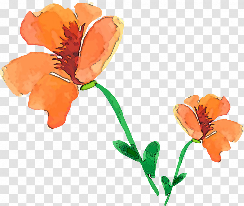 Orange Transparent PNG