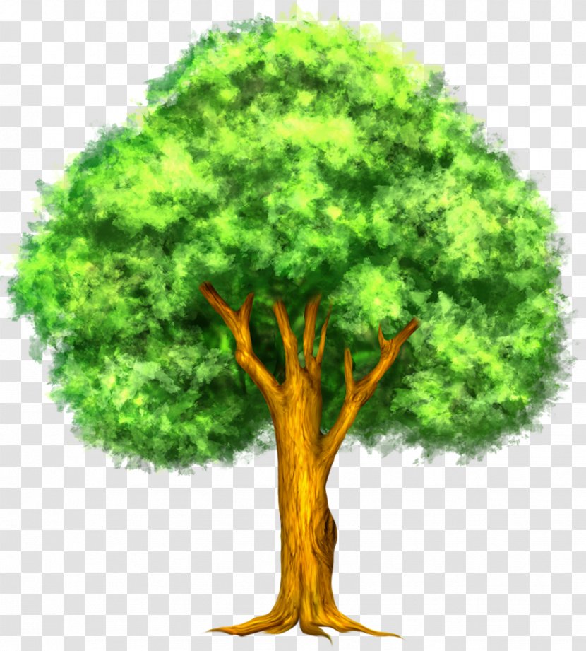 Tree Clip Art - Woody Plant - Green Painted Clipart Transparent PNG