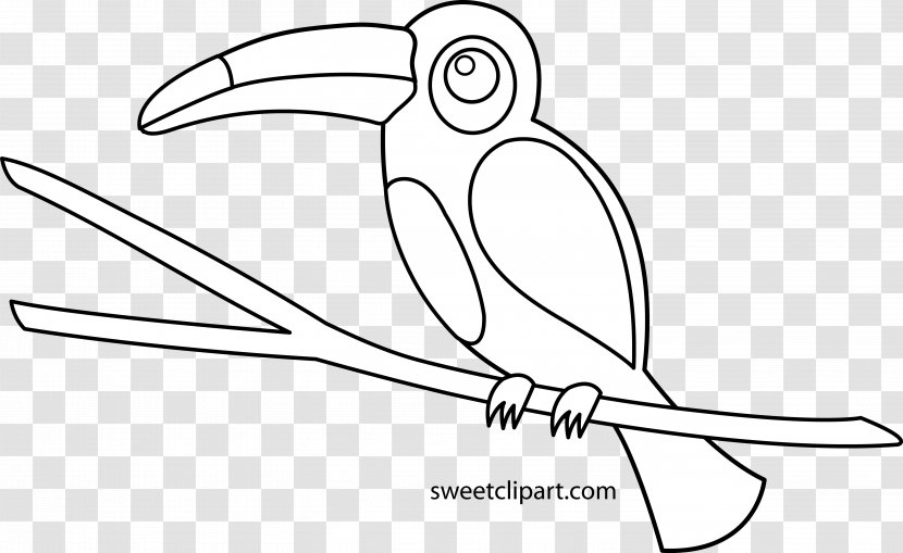 Bird Drawing Toucan Coloring Book Clip Art - Silhouette Transparent PNG