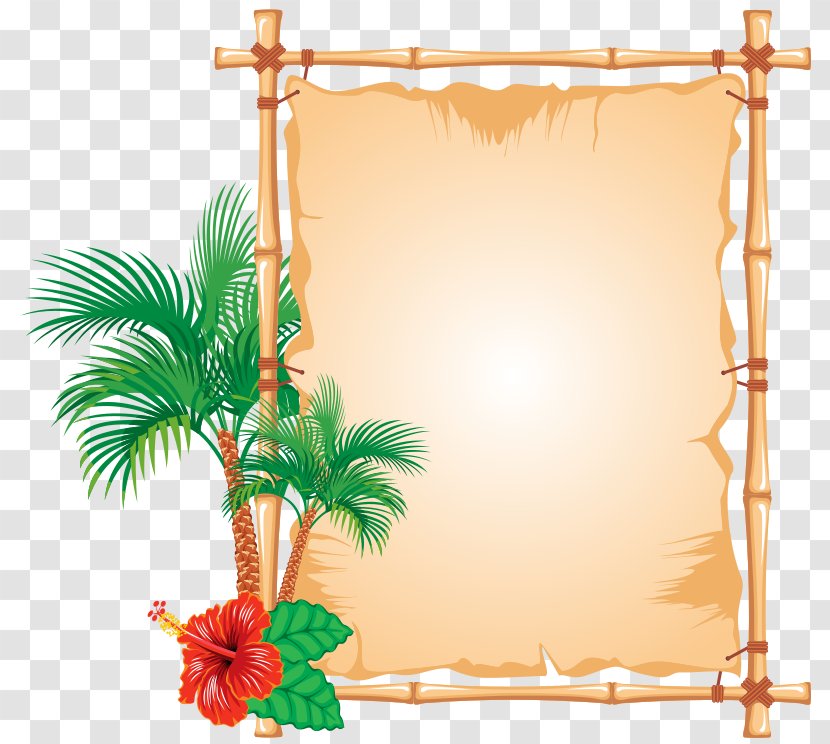 Bamboo Picture Frames - Drawing Transparent PNG