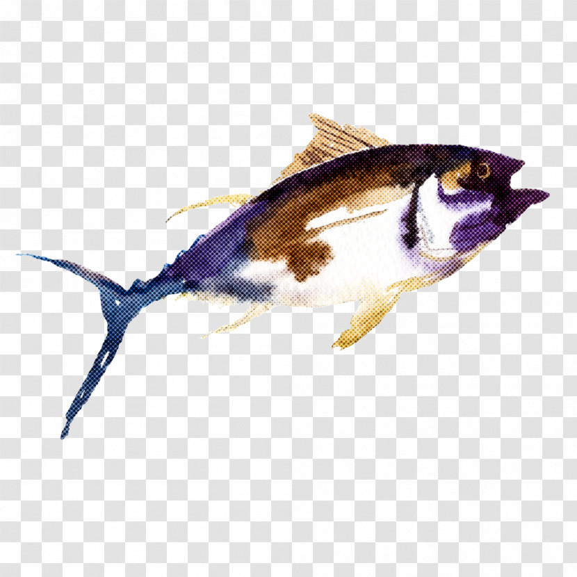 Fish Fish Bony-fish Transparent PNG
