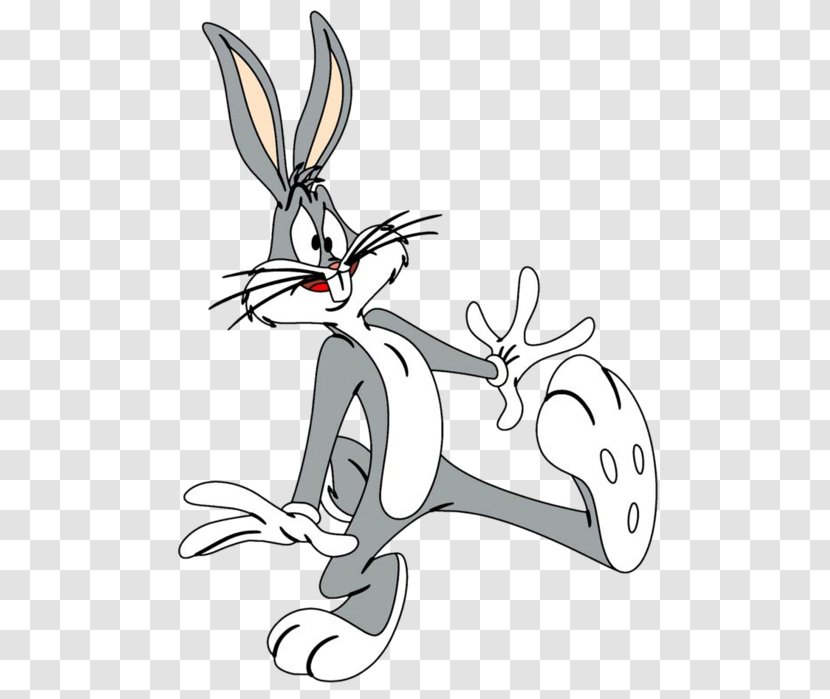 Bugs Bunny Mashimaro Looney Tunes Rabbit Cartoon - Mammal Transparent PNG