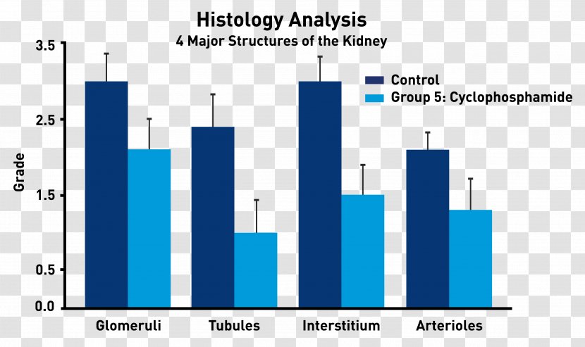 Graphic Design Systemic Lupus Erythematosus Graphics Graph Of A Function - Blue Transparent PNG