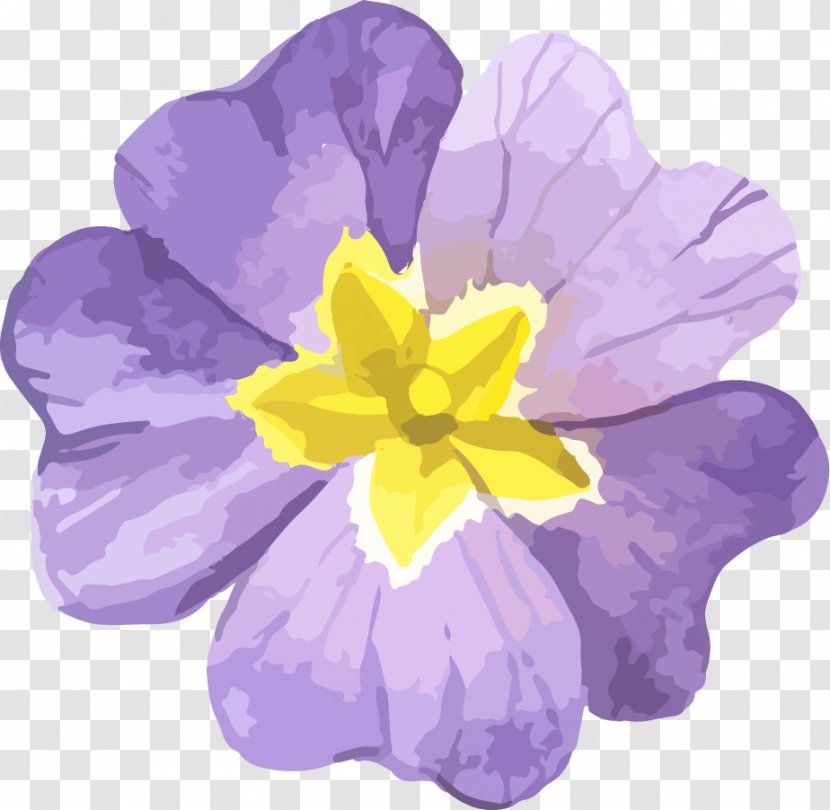 Primrose Violet Crocus Petal Family - Primula Transparent PNG