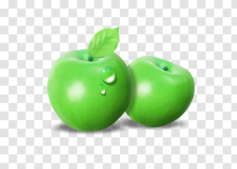 Granny Smith Green Apple - Vecteur - Vector Transparent PNG