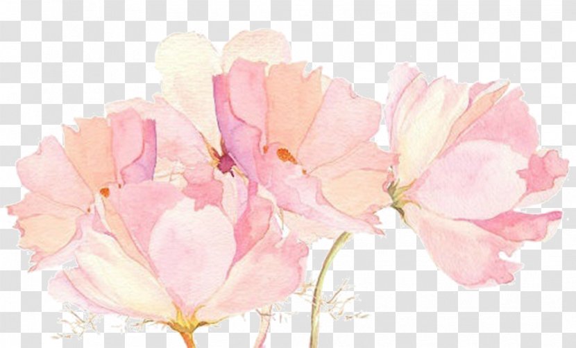 Flower Drawings Watercolor Painting Pink - Spring - Literary Beautiful Painted Decoration Transparent PNG