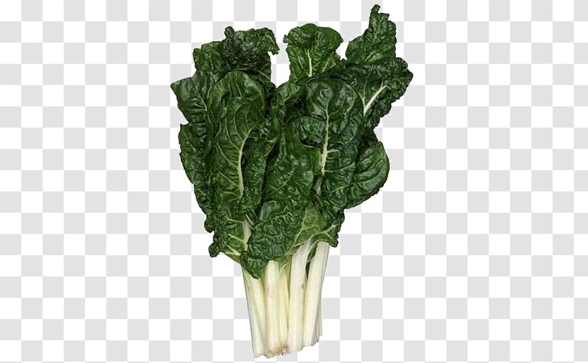 Romaine Lettuce Marks SUPA IGA Mansfield Chard Vegetable Grocery Store - Mustard Greens - Silverbeet Fresh Transparent PNG
