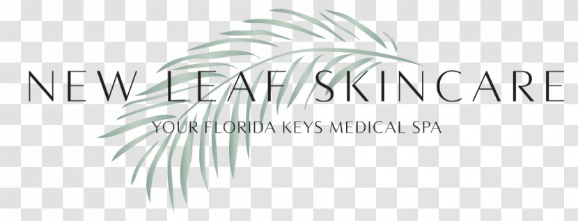 New Leaf Skincare Logo Brand Skin Care - Buy One Get Second Half Price Transparent PNG