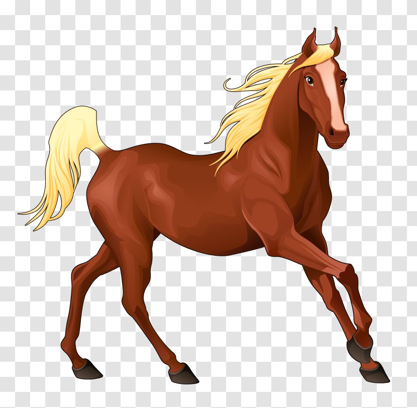 Horse Equestrian Clip Art - Mare Transparent PNG