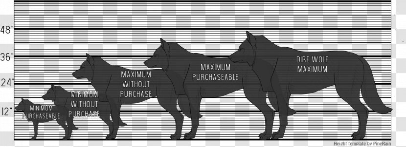Gray Wolf Mane Alsatian Shepalute Dire Stallion - Size Chart Transparent PNG
