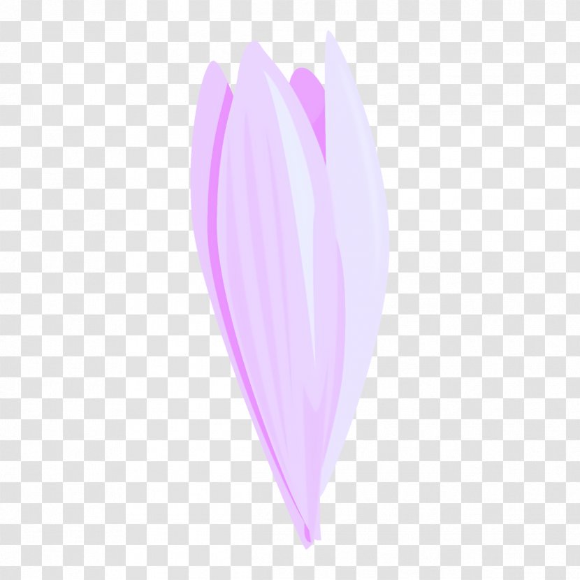 Feather - Plant - Flower Transparent PNG