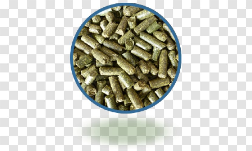 Cattle Horse Pelletizing Alfalfa Pellet Fuel - Mill Transparent PNG