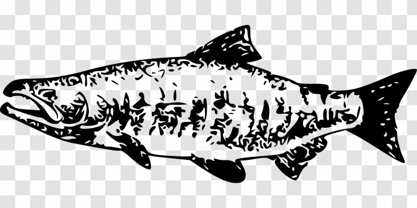 Sockeye Salmon Chinook Clip Art - Black And White - SALMON Transparent PNG