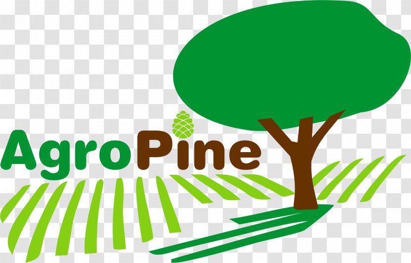 Tree Brand Human Behavior Graphic Design Clip Art - Logo - Pinus Pinea Transparent PNG