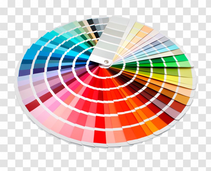 Color Chart Graphic Design Pantone - Scheme Transparent PNG