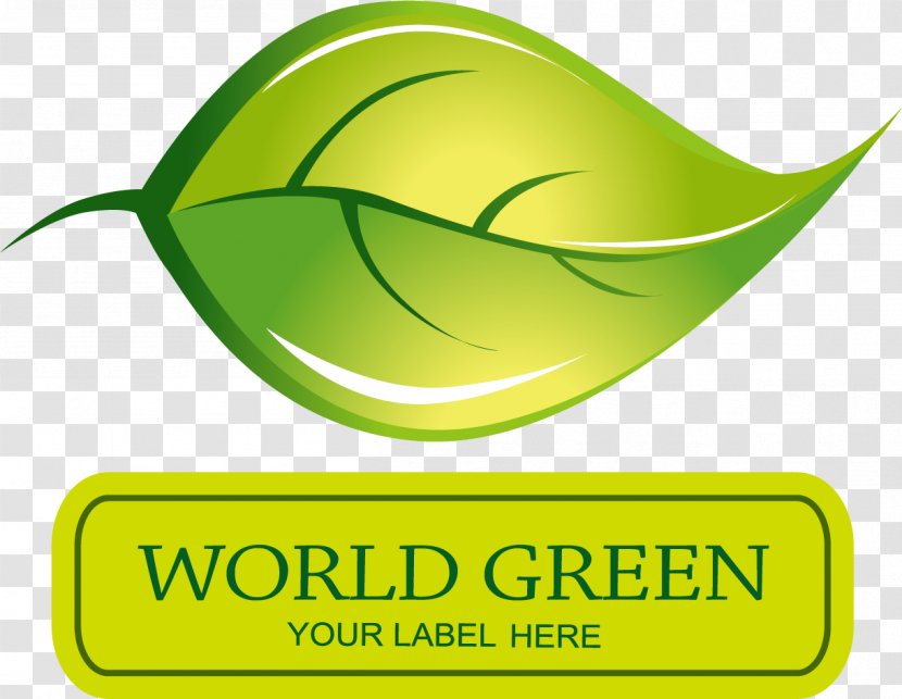Logo Leaf Drawing - Fruit - Green Leaves Picture Material Transparent PNG