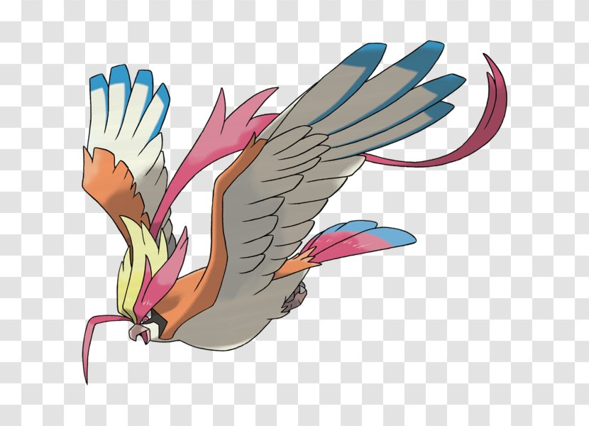 Pokémon Sun And Moon Omega Ruby Alpha Sapphire X Y Pidgeot - Vertebrate - Art Transparent PNG