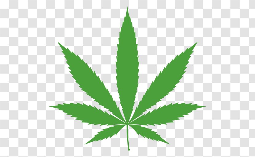 Cannabis Ruderalis Cultivation Leaf Marijuana - Tetrahydrocannabinol Transparent PNG