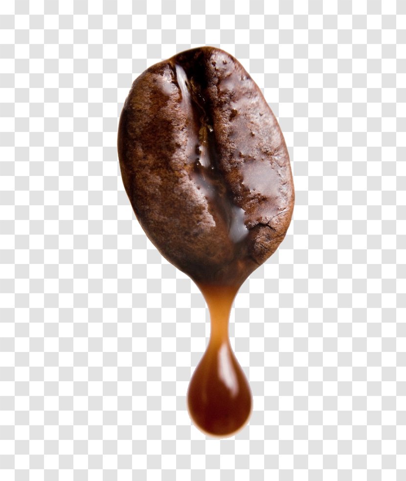 Turkish Coffee Bean Brewed Cafe - Chocolate - Beans Transparent PNG