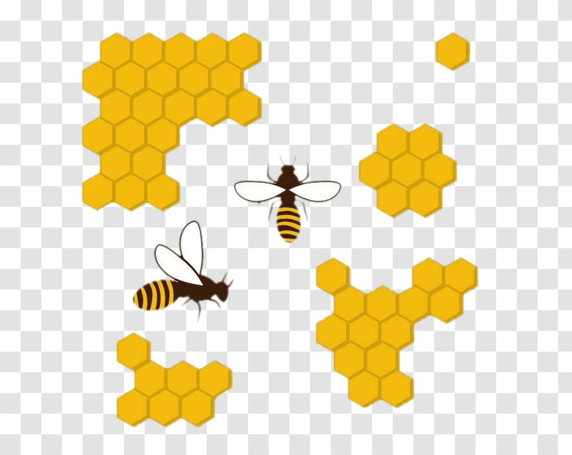 Beehive Honeycomb Apis Florea - Cartoon - Bee Transparent PNG