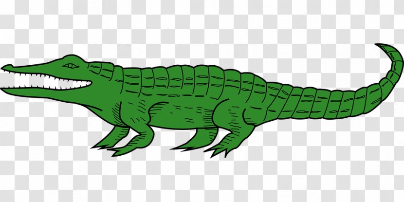 Crocodile Alligators Clip Art Image - Terrestrial Animal Transparent PNG