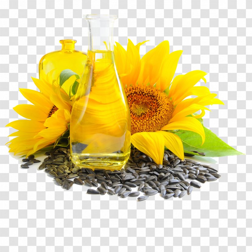 Common Sunflower Oil Vegetable Seed Transparent PNG