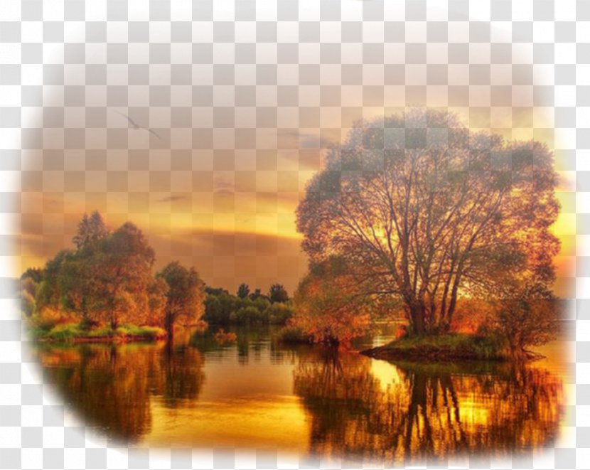 Sunset Landscape Photography Autumn Desktop Wallpaper - Orange - Cloud Transparent PNG