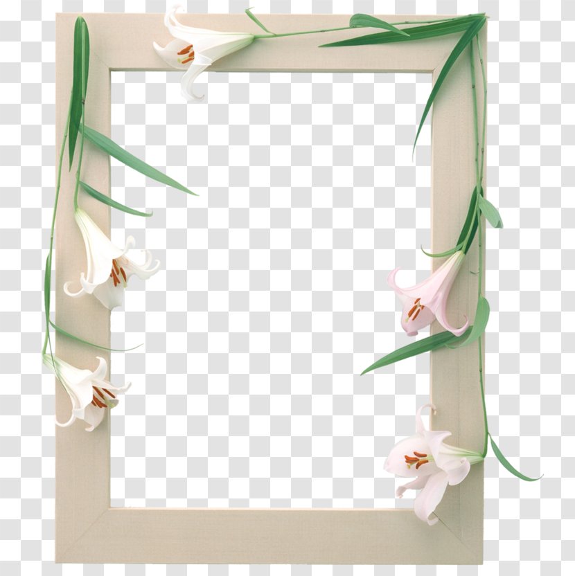Picture Frames Image Photograph Adobe Photoshop - Americanflat Album Frame - Decorative Box Transparent PNG