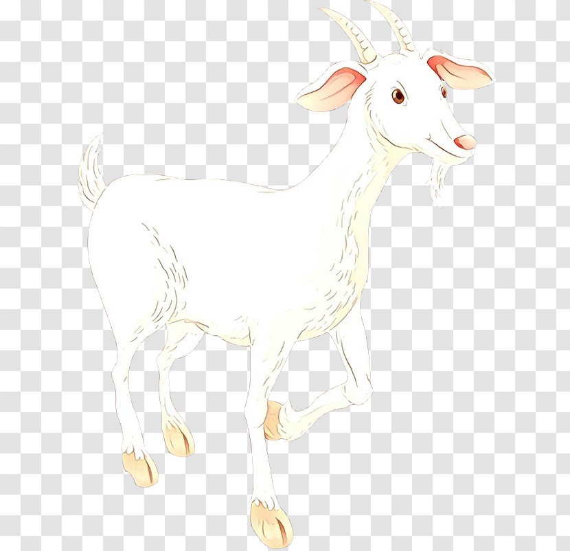 Sheep Goat Cattle Antelope Mammal - Drawing - Deer Transparent PNG