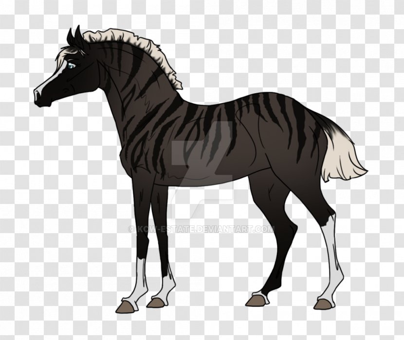 Thoroughbred Dutch Warmblood Horse Tack Equestrian Black - Sport - Mammal Transparent PNG