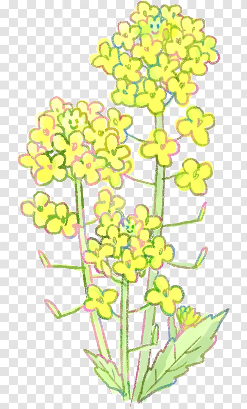 Floral Design Cut Flowers Flowering Plant Stem - Flora Transparent PNG