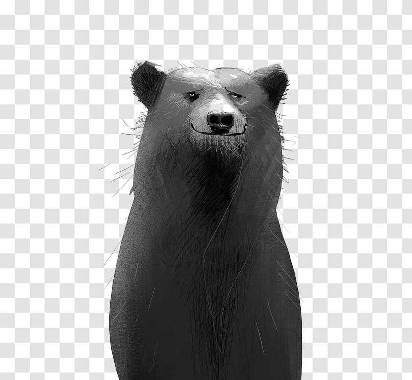 Grizzly Bear Illustration - Cartoon Transparent PNG