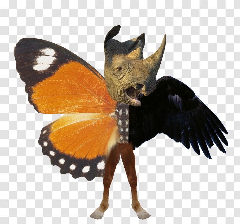 Butterfly Borboleta Idea Thought Image - Digital Art - Oh Boy Transparent PNG